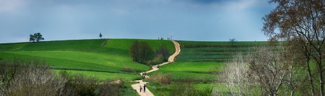 Un país de regions (i rius)