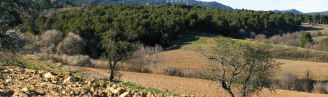 El Vallès agroforestal
