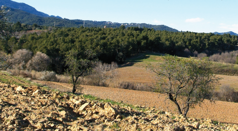 El Vallès agroforestal