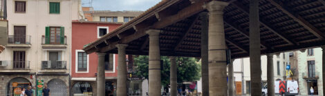 Una mirada oriental: universitat i renovació urbana