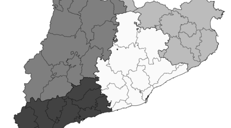 Síntesi de la visió regional de FEMvallès