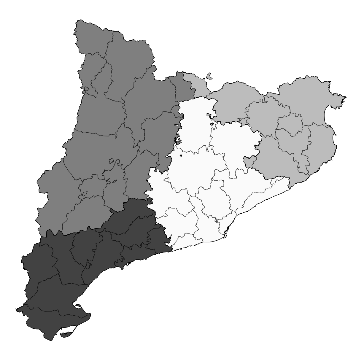 Síntesi de la visió regional de FEMvallès