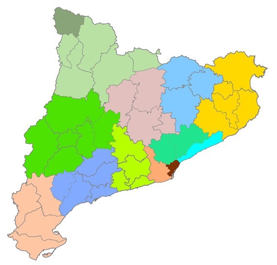 Del PEMB a l’organització de Catalunya