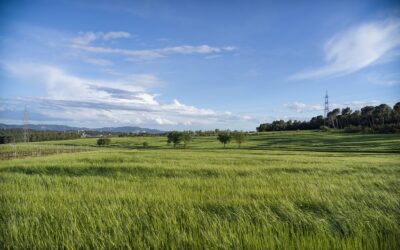 En ma terra del Vallès