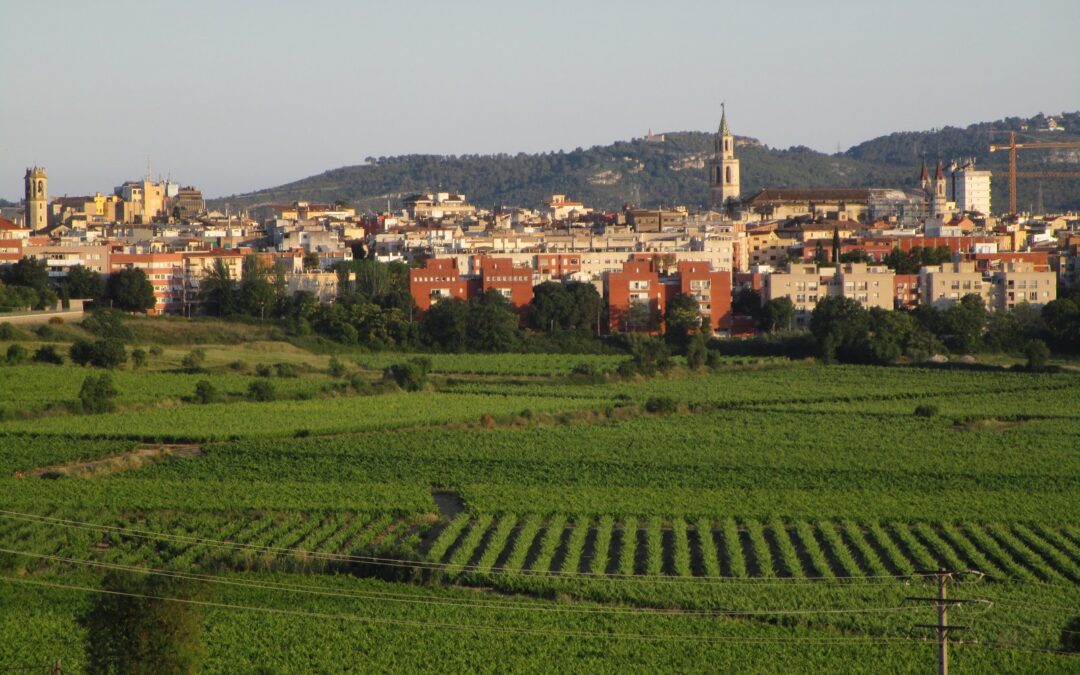 Rioja versus Penedès