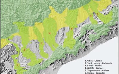 El debat entre els dos sistemes territorials