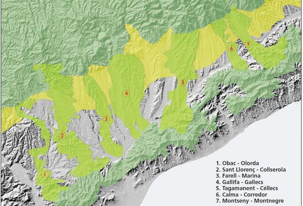 El debat entre els dos sistemes territorials